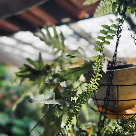 Appartement Casa Do Largo Da Fogueira