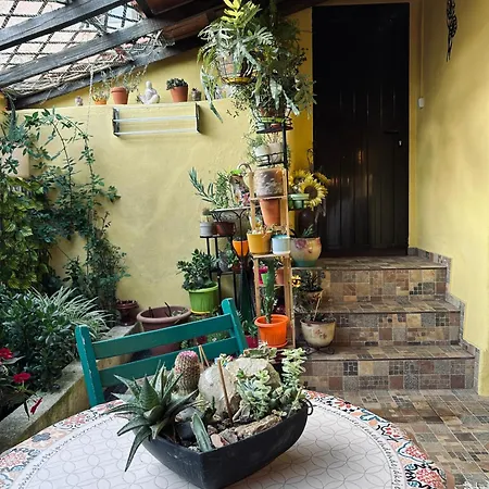 Appartement Casa Do Largo Da Fogueira Maçeira