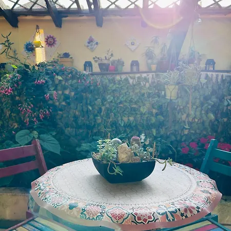 Casa Do Largo Da Fogueira * Maçeira