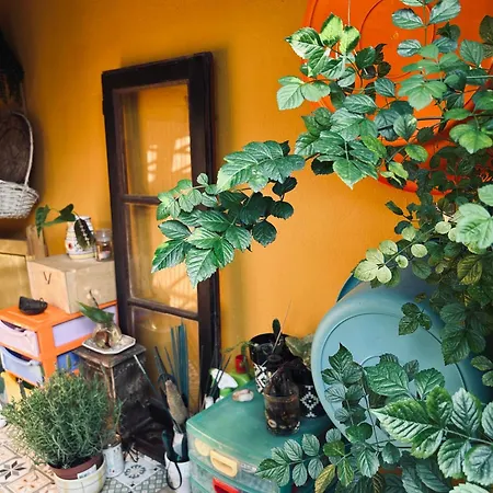 Casa Do Largo Da Fogueira