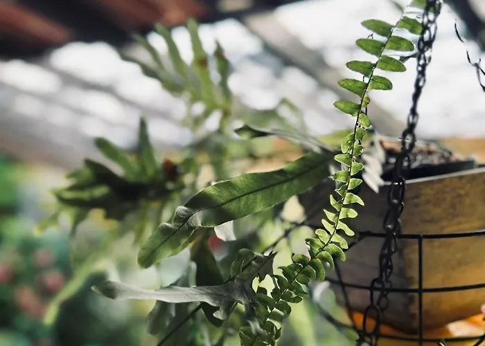 Lejlighed Casa Do Largo Da Fogueira