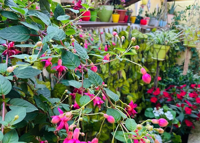 Casa Do Largo Da Fogueira *